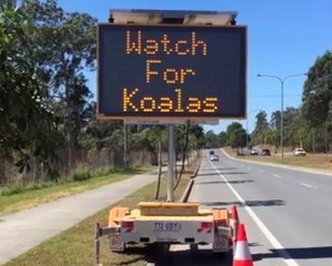 Variable koala road sign