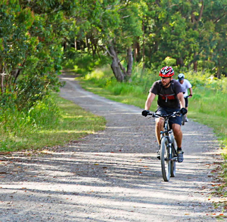 Blair Reserve Bike Track Upgrade Port MacquarieHastings Council Have