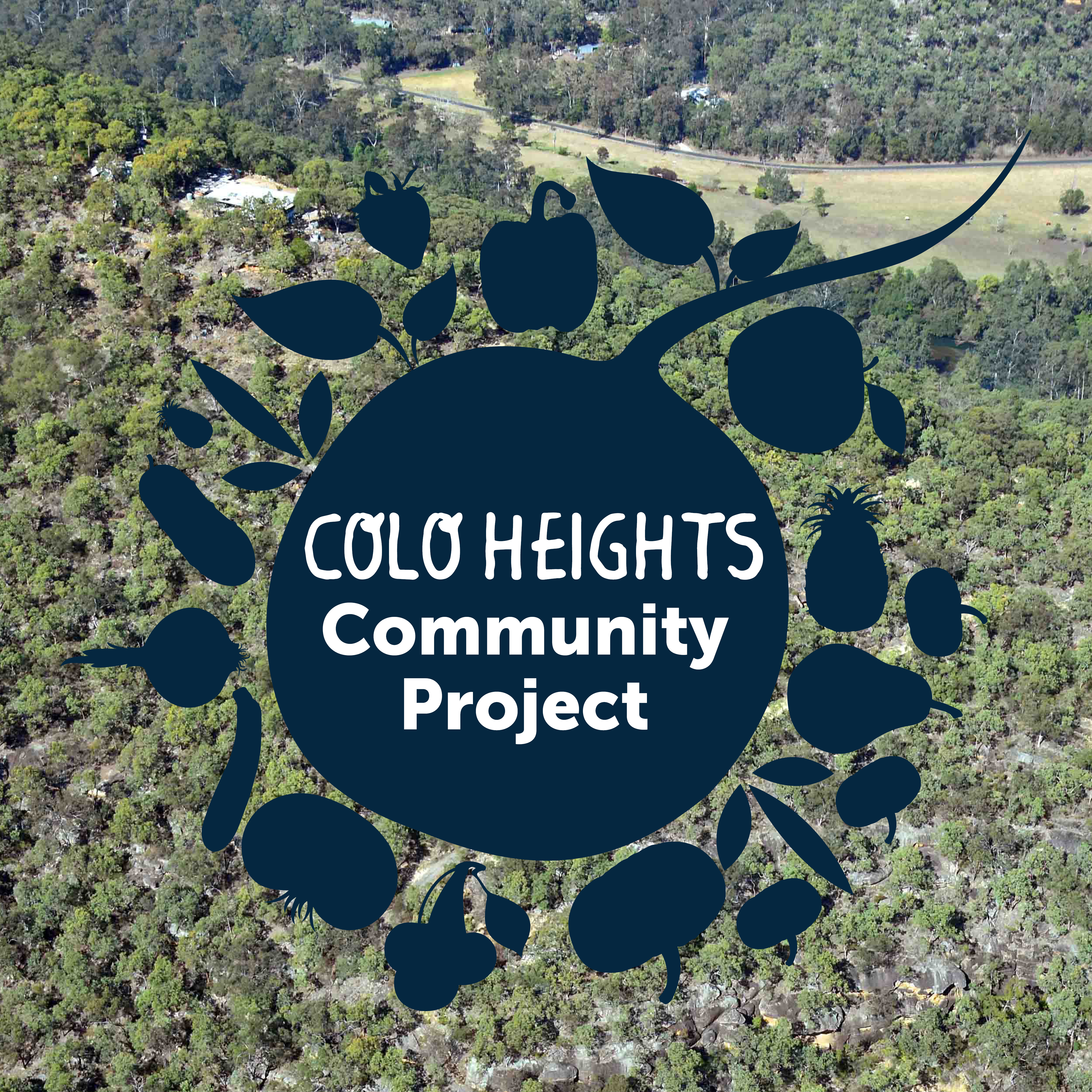 Colo Heights Community Projects August update Colo Heights
