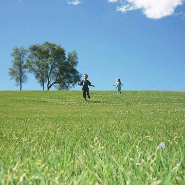 Open space with children playing