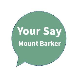 Team member, Kim Nguyen