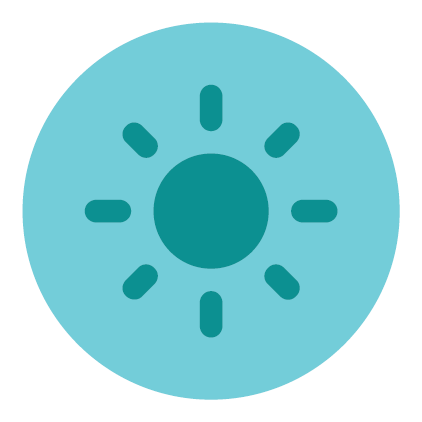 Principle icon