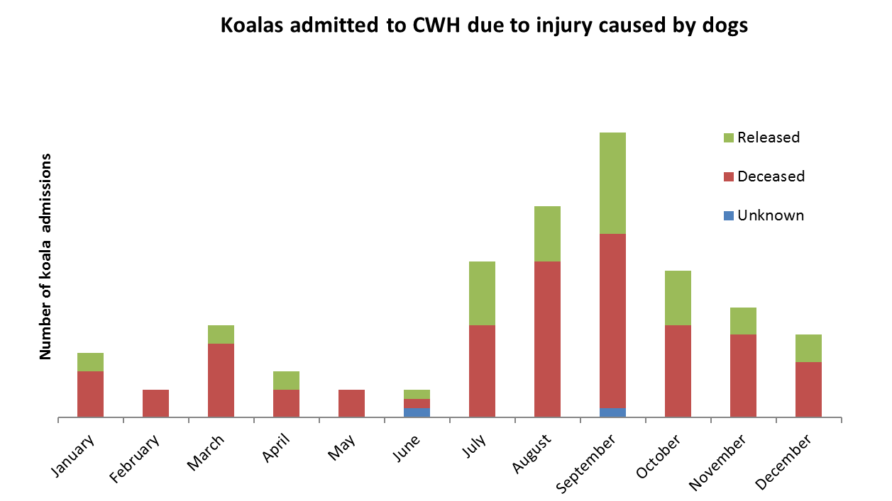 Breeding Season: Increase in Koala–Dog Interactions | Koala ...
