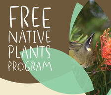 Free native plants program