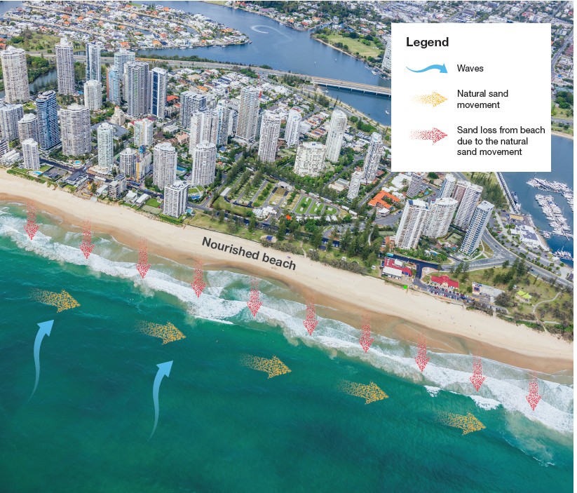 Aerial beachfront with high-rise buildings; arrows show waves and sand movement; ‘nourished beach’ labelled.