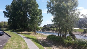 20170117 152631 resized