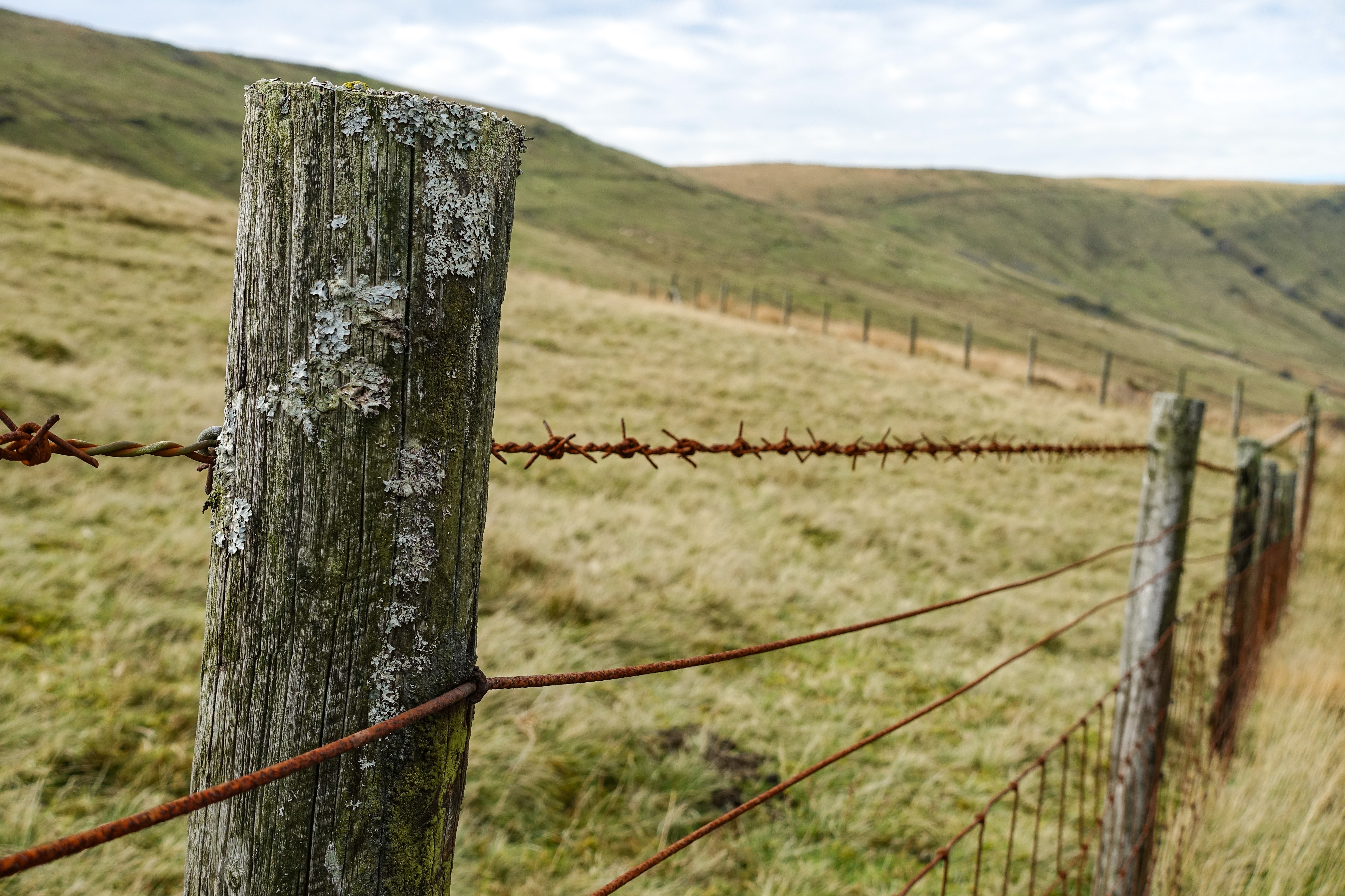 Виды колючей проволоки для забора