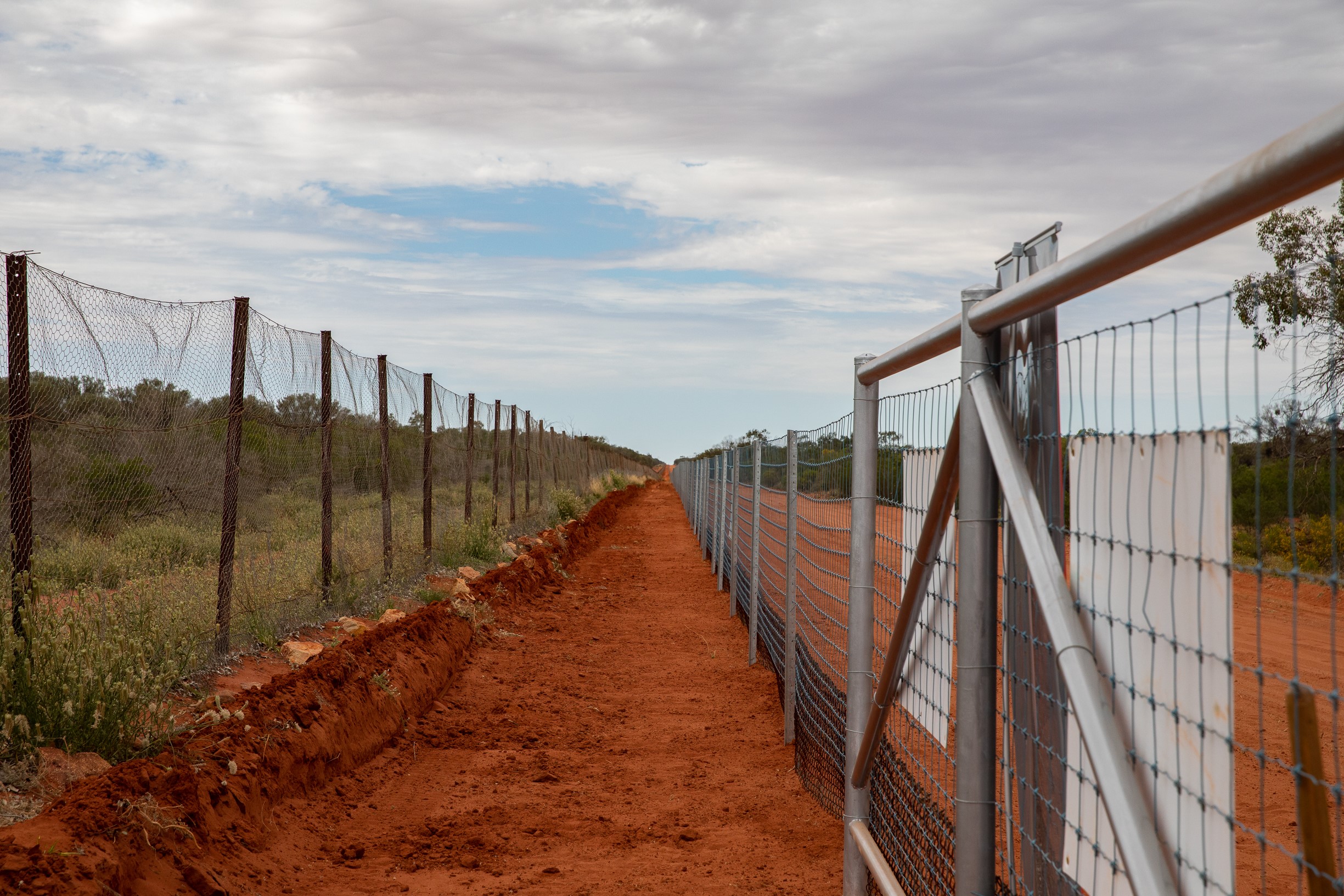 Consultation NSW Wild Dog Fence Extension Project YourSAy