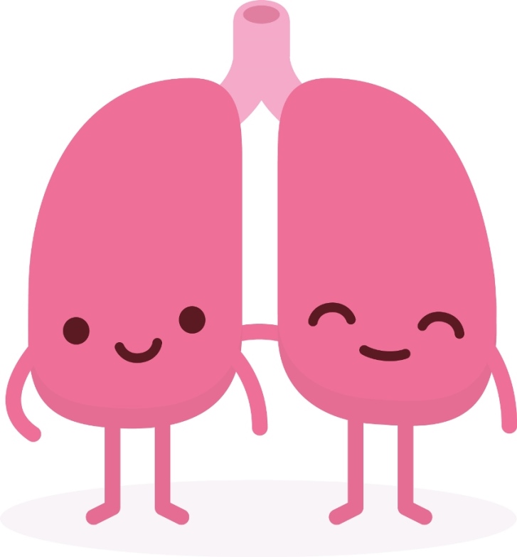 healthy lungs