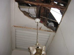 Housing ceiling collapsed by termites eating ceiling