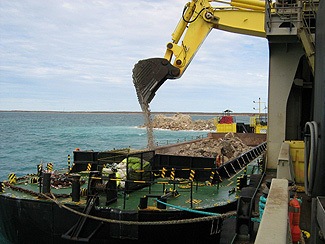 mining-project-wa Pest Control services on a mining project in WA
