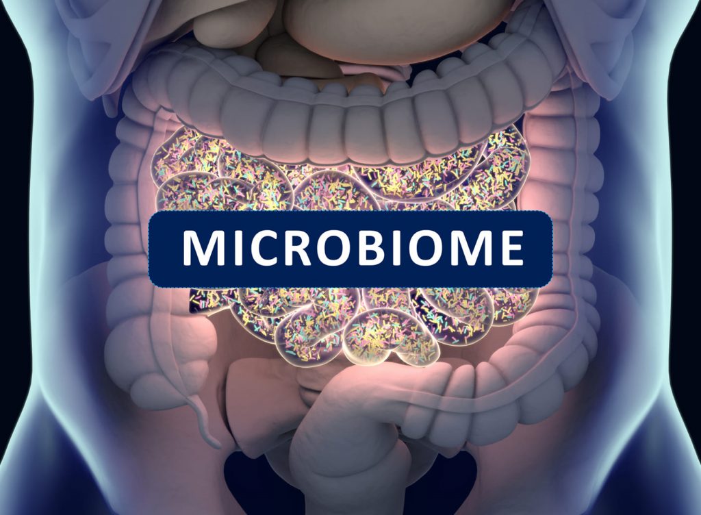 microbe