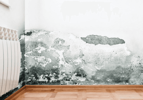 mould mould