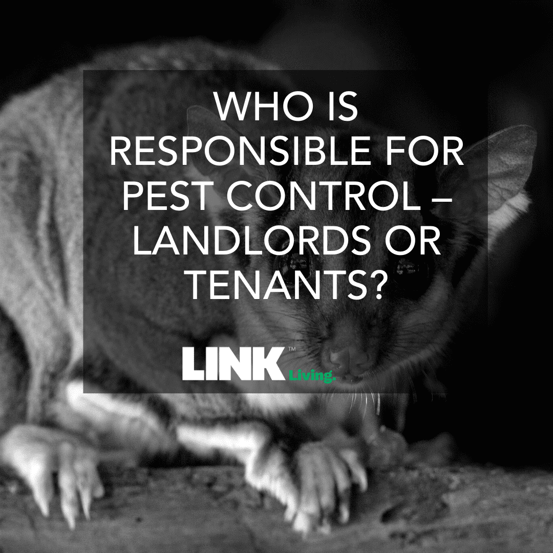 Who Is Responsible For Pest Control Landlords Or Tenants? Link Living