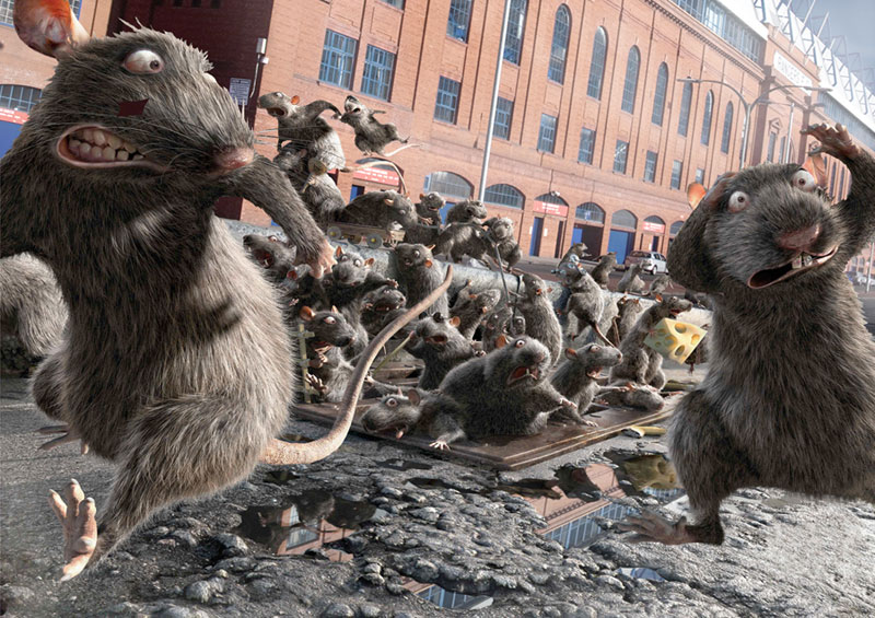 Rat Plague At Buchingham Palace, Rhino Furie, Mouse Jumps Into Deep Fryer!