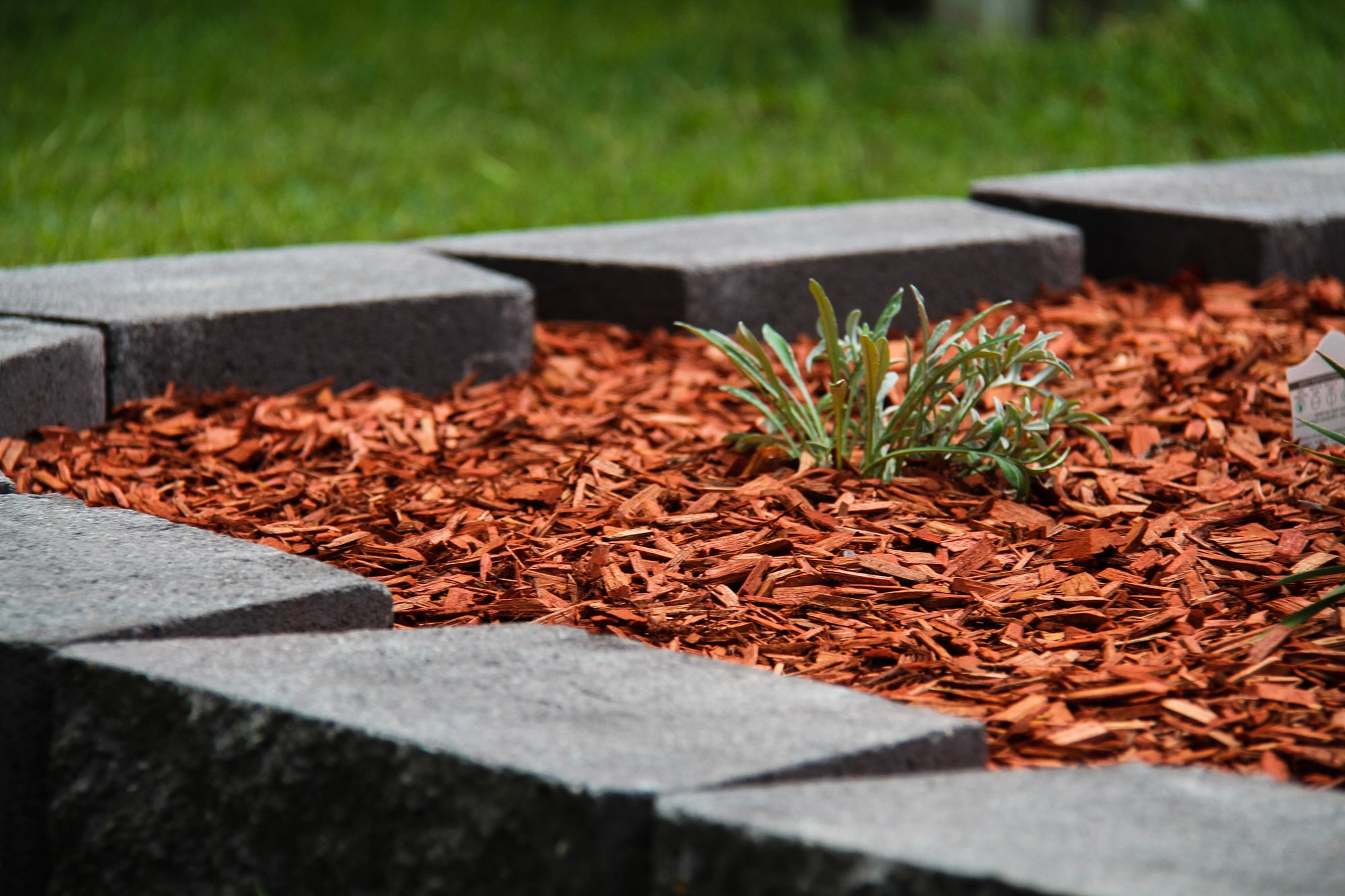 oakmont_landscaping-14