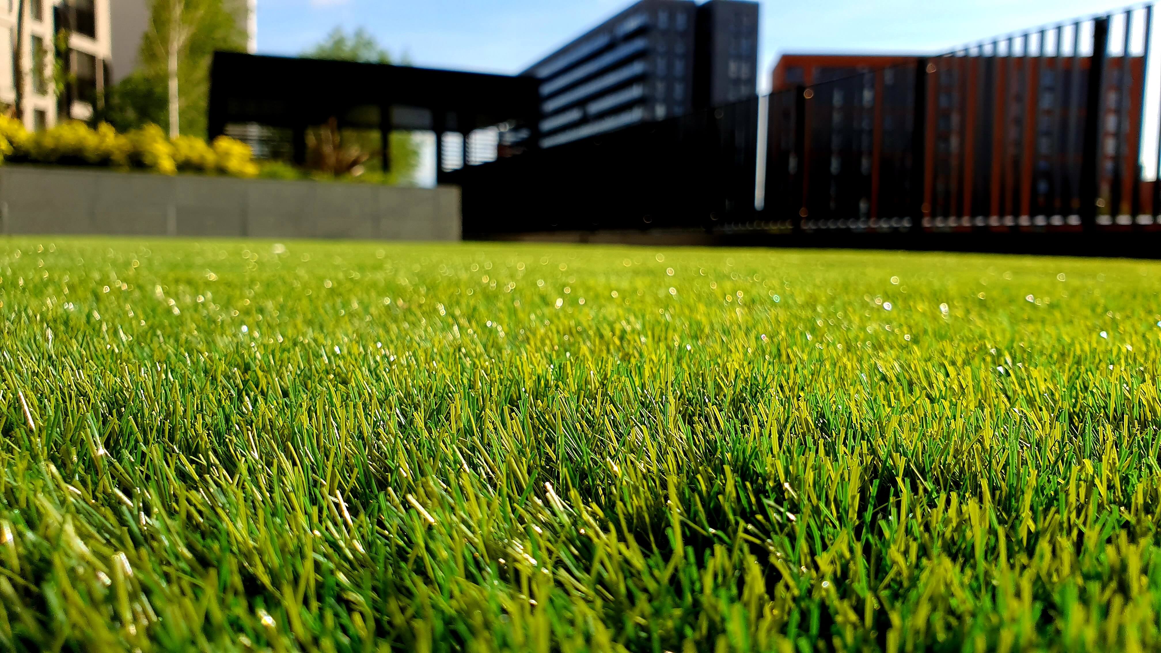 Oakmont Grass 5 Oakmont Grass 5