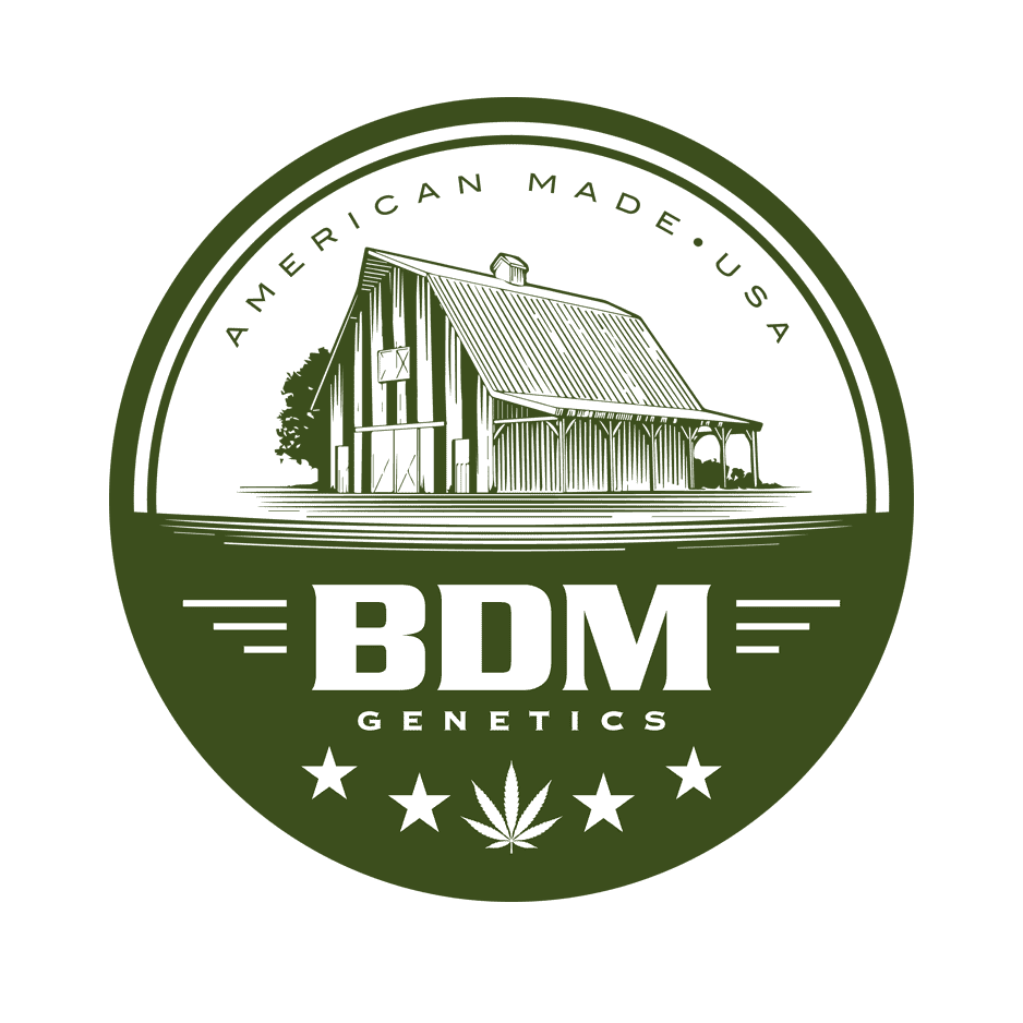 BDM BDM