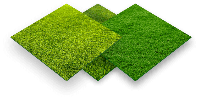 grass-combined grass-combined