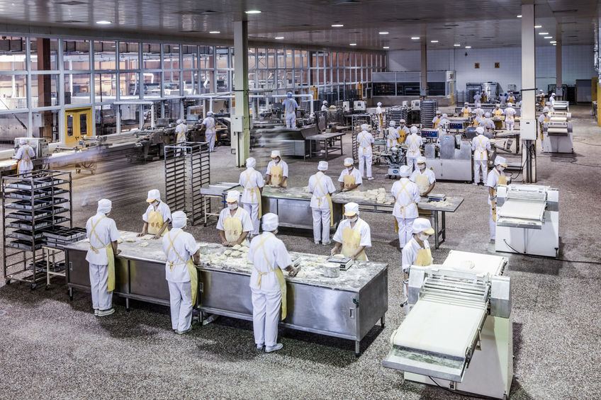 35543141 - workers in the food production factory 35543141 - workers in the food production factory