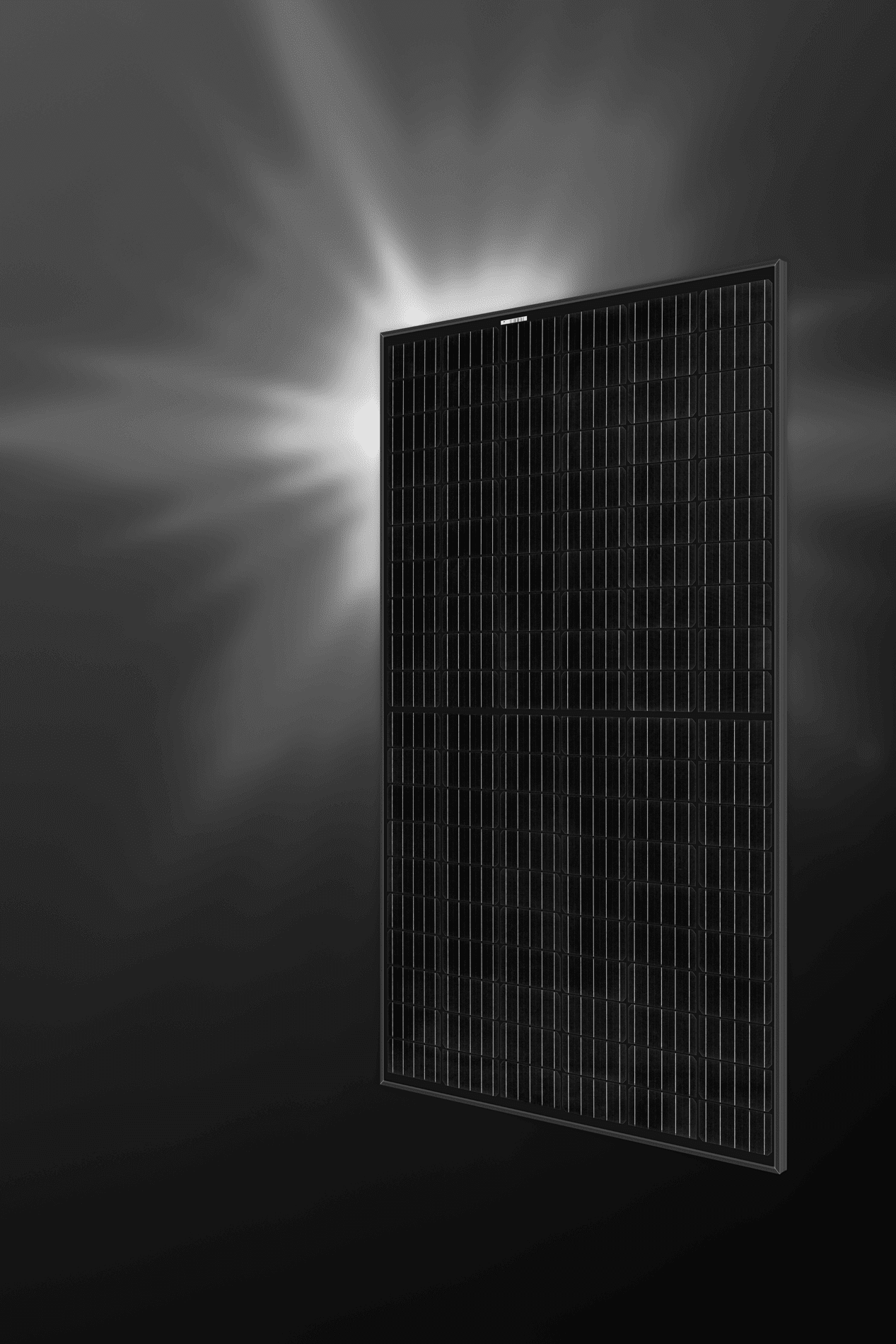 rec_n-peak_black_angle1 (1) rec_n-peak_black_angle1 (1)