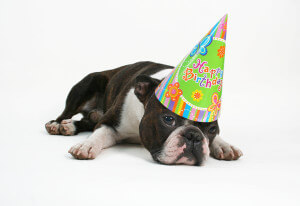Birthday DJ Perth
