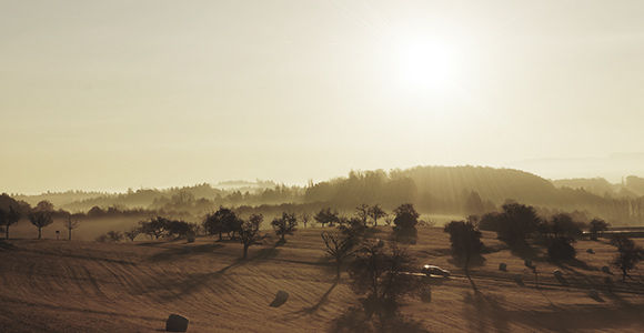 Self-Protection Shutdown against High Temperature