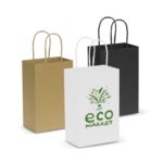 107582 – Paper Carry Bag – Small