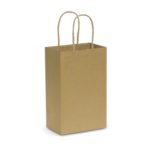 107582 – Paper Carry Bag – Small