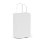 107582 – Paper Carry Bag – Small