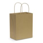 107586 – Paper Carry Bag – Medium