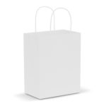 107586 – Paper Carry Bag – Medium