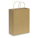 107590 – Paper Carry Bag – Large
