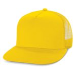 114242 – Impala Flat Peak Mesh Cap