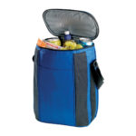 B274A – Multi Bottle Cooler