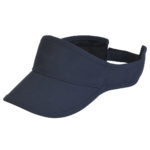 4379 – Sports Visor