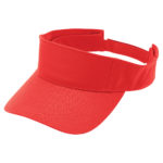 8009 – Event Visor