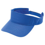 8009 – Event Visor