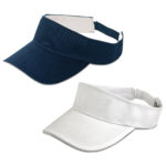 4040 – Sandwich Peak Visor