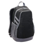1219 – Velocity Laptop BackPack