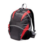 1158 – Chicane Backpack