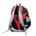 1158 – Chicane Backpack