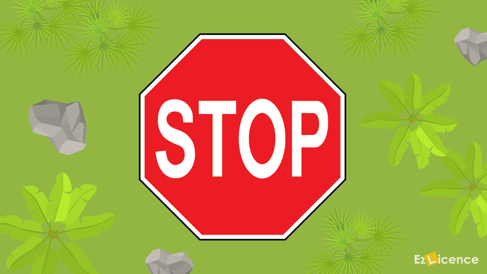 What does this sign mean?