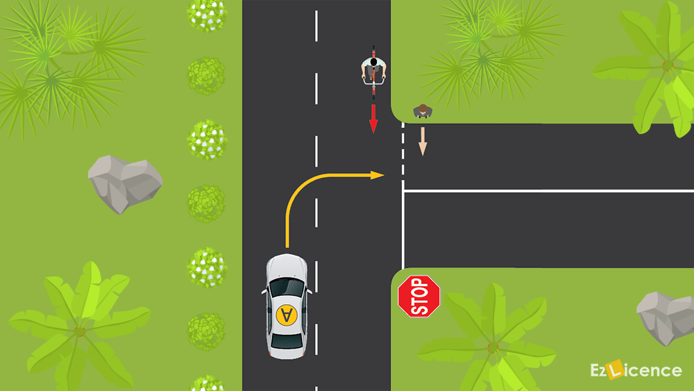 You are driving vehicle A. You must give way to