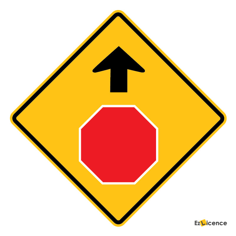 What does this sign mean?