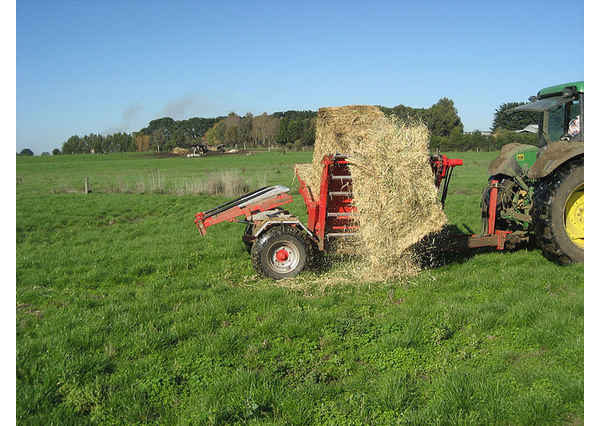 Wmi Pamick Round And Square Bale Feeder For Sale Machinery Hay
