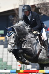 The 2018 Royal Melbourne Show started on a perfect spring day with the main arena given solely to showjumping for the next four days. Brook Dobbin riding Wendy Kendell's, Leopoldo MVNZ jumped a double clear round in the Group C event to take fourth place.