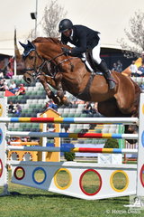 Brook Dobbin rode Wendy Keddell's imported Carrado MVNZ to jump a clear first round in the John Kelly Memorial Group One.