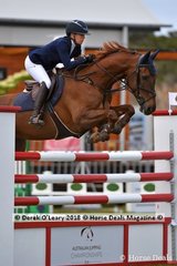 Jennifer Wood representing NSW rode "Cassando B" to place 7th in the Australian Future Stars Championship