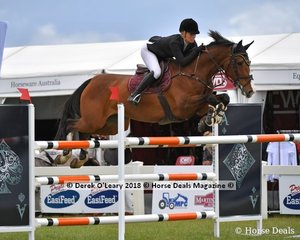 Isabella Stone represting Victoria riding "Colina" in the Australian Future Stars Championship